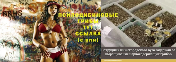 mdpv Алзамай