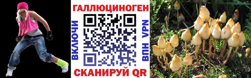 KRAKEN   Цоци-Юрт  Псилоцибиновые грибы мухоморы  как найти наркотики 
